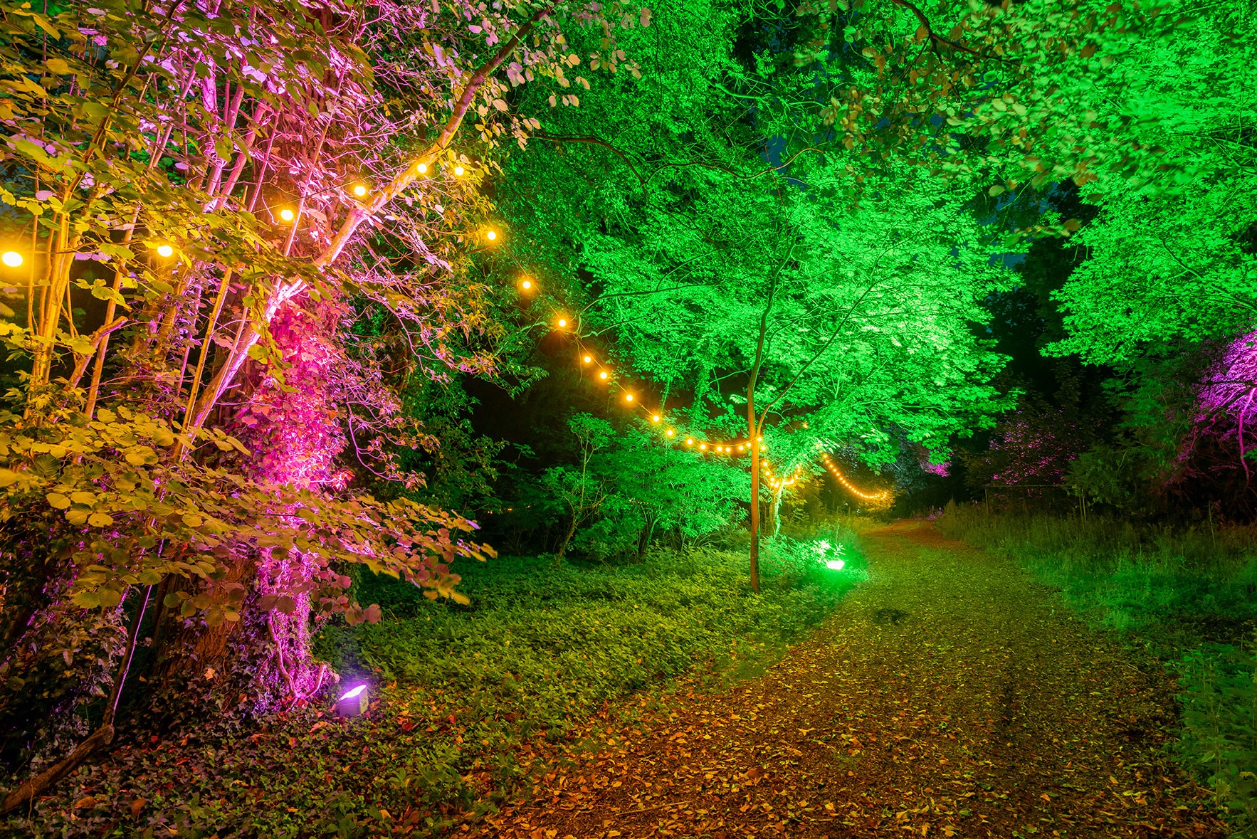 Some favourite feedback from our clients 72 Private Party on the Waddesdon Estate, Oxfordshire